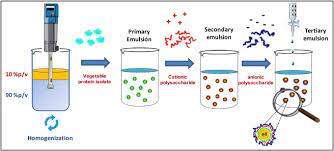 1047 фраз в 89 тематиках. Multilayer Emulsions Stabilized By Vegetable Proteins And Polysaccharides Sciencedirect