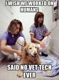 I Wish We Worked On Humans Said No Vet Tech Ever Vet Tech Humor Veterinary Humor Vet Tech
