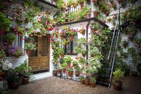 Check spelling or type a new query. 12 Ideas For Low Maintenance Landscaping In Salt Lake City Lawnstarter