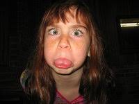 The Book of Revelation by Robert H. Mounce