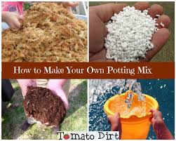 own potting mix for growing tomatoes