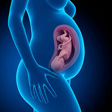 37 Semanas De Gravidez O Meu Bebe