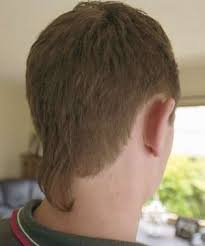 Although it has been out for some time, this year it is in again. 90s Hair Revivals The Rattail Is Making A Comeback