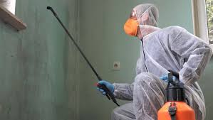 4 Types of Abrasive Cleaners | Cleaning Business Today