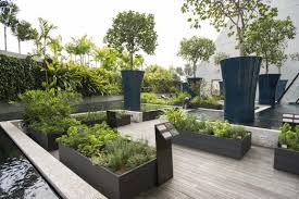 Reaching For The Sky Marina Bay Sands Hotel Singapore Rooftop Garden Outdoor Gardens Amazing Gardens