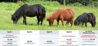 Alles, was sie schon immer wissen wollten. Ponyhaftpflicht Im Vergleich Gup Versicherung
