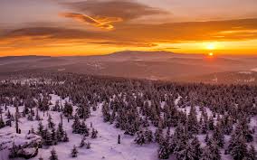 We did not find results for: Winter Sunset Trees Snow Mountains Red Sky Wallpaper Nature And Landscape Wallpaper Better