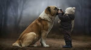 Image result for child and dog