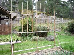 You can plant a row of seeds on each side of the trellis so it supports a double row of pole beans. How To Build A Bean Trellis For Raised Garden Beds Eartheasy Guides Articles Eartheasy Guides Articles