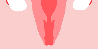 Image result for cervix position