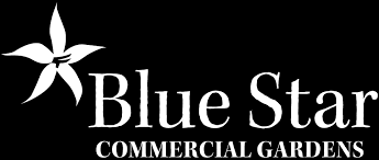(listed more alphabetically) generation 3 my little ponies are made between 2003 and 2009. Garden Management Blue Star Commercial Gardens