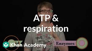 Maybe you would like to learn more about one of these? Atp Respiration Video Khan Academy