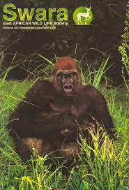 Image result for Flabellariopsis acuminata