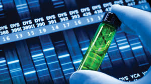 They work on contracts, criminal cases. Importance Of Forensic Science For Lawyers Qualifications Salary Scale