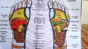 reflexology how to read a foot reflexology chart