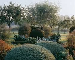 Epingle Sur Arbres