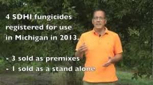 Check spelling or type a new query. Evaluation Of Sdhis For The Control Of Cherry Leaf Spot Powdery Mildew And American Brown Rot Youtube