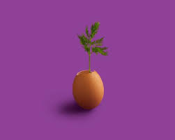 Best Dietician In Gurgaon In 2020 Conceptual Photography Detox Juice Mango Recipes