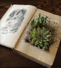 Leuk Idee Om Kado Te Geven Of Zelf Te Houden Een Oud Boek Omgetoverd Tot Plantenbakje Oud Boek Knutsel Ideeen Oude Boeken Doe Het Zelf Cadeau