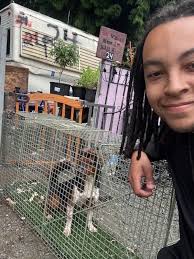 With deep sadness, we share that after a long and painful search, our  beloved Penny was found this morning… but not in the way we had prayed for.  Penny was found deceased