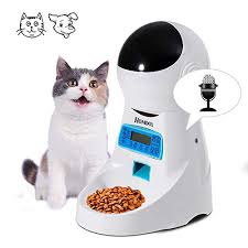 Currently, the best automatic pet feeder is the pet safe smart feed. The 6 Best Automatic Cat Feeders The Dog People By Rover Com