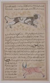 However, if the ice is freezing around the rocks and then acting as a sort of sail, i can see how this might be possible. Zakaria Bin Muhammad Bin Mahmud Abu Yahya Qazwini Folio From A Aja Ib Al Makhluqat Wa Ghara Ib Al Mawjudat The Wonders Of Creation And The Oddities Of Existence The Metropolitan Museum Of Art