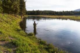Then consider staying at headwaters lodge & cabins at flagg ranch! Headwaters Lodge Cabins At Flagg Ranch Moran Wy 2021 Updated Prices Deals