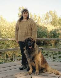 And as easy as this is to knit, it's equally easy to wear when you need a bit of warmth without a jacket. Dog Fur Knitting Cheap Buy Online