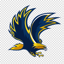 Overall it turned out well. Eagle Logo Bald Eagle Beak Feather Golden Eagle Hawk Bird Accipitridae Transparent Background Png Clipart Hiclipart