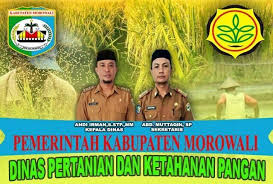 Serta sebagai sarana publikasi dan informasi terkait layanan yang dimiliki dinas pertanian dan pangan kabupaten demak. Dinas Pertanian Dan Ketahanan Pangan Morowali Home Facebook