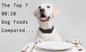 We Compare The Top 10 80 20 Dog Foods Available In Uk Dogsfirstireland