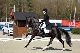 4 old fashioned wooden doors 77x30 inches , all identical. Edward Gal Rides To Victory With Both Toto Jr And Total Us In Exloo Equnews International