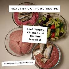 Beef Turkey Chicken And Sardine Meatloaf For Cats Powered By Ultimaterecipe In 2020 Homemade Cat Food Raw Cat Food Recipes Healthy Cat Food