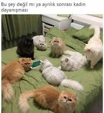 Gizem Adli Kullanicinin Komik Seyler Panosundaki Pin 2020 Komik Komik Seyler Resimler