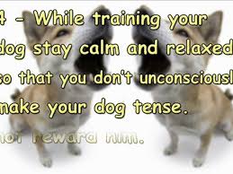 We did not find results for: Dog Barking At Other Dogs Tips To Stop Dog Barking At Other Video Dailymotion