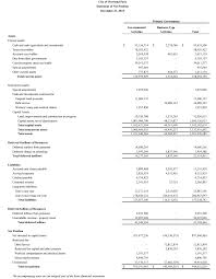 Every year the trust has to prepare financial statements like the balance sheet and income and expenditure statements based on its books of accounts. The Basic Financial Statements Financial Strategy For Public Managers
