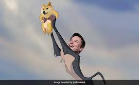 Elon Musk S Twitter Break Is Over See What He Posted