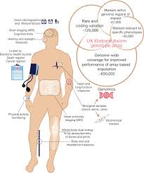All forms are printable and downloadable. The Uk Biobank Resource With Deep Phenotyping And Genomic Data Nature