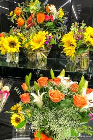 An assortment of succulents in illusion vases. Safeway S Exclusive Debi Lilly Design Collection 3 A Night Owl Blog