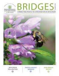 Bridges Summer 2019 by Natural Resources Foundation of Wisconsin