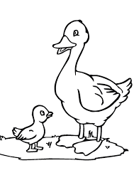 Looney tunes coloring pages daffy duck. Coloring Pages Duck With Baby Duck Coloring Pages