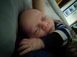 Nanny share options in New Jersey?