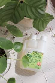 It will show you how to identify which one is infesting your plant, and show you exactly how to get rid of it for good! Five Ways To Use Neem Oil On Plants Dossier Blog