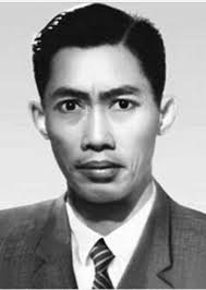 Brief History of Vovinam