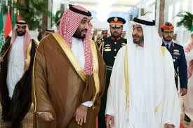 The united arab emirates (uae; Analysis Opec Disagreement Lays Bare Growing Uae Saudi Economic Rivalry Reuters