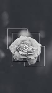 Importance of white space in design prototypr. Black And White Rose Aesthetic 4k Wallpapers Wallpaper Cave
