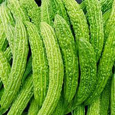 Image result for Momordica charantia