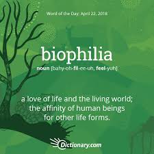 Word Of The Day Biophilia Dictionary Com Weird Words Unusual Words Dictionary Words