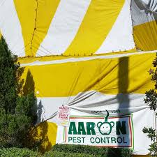 Myrtle beach sc exterminator, pest control & termite inspector. Aaron Pest Control