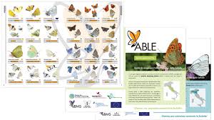 Check spelling or type a new query. Materiales European Butterfly Monitoring